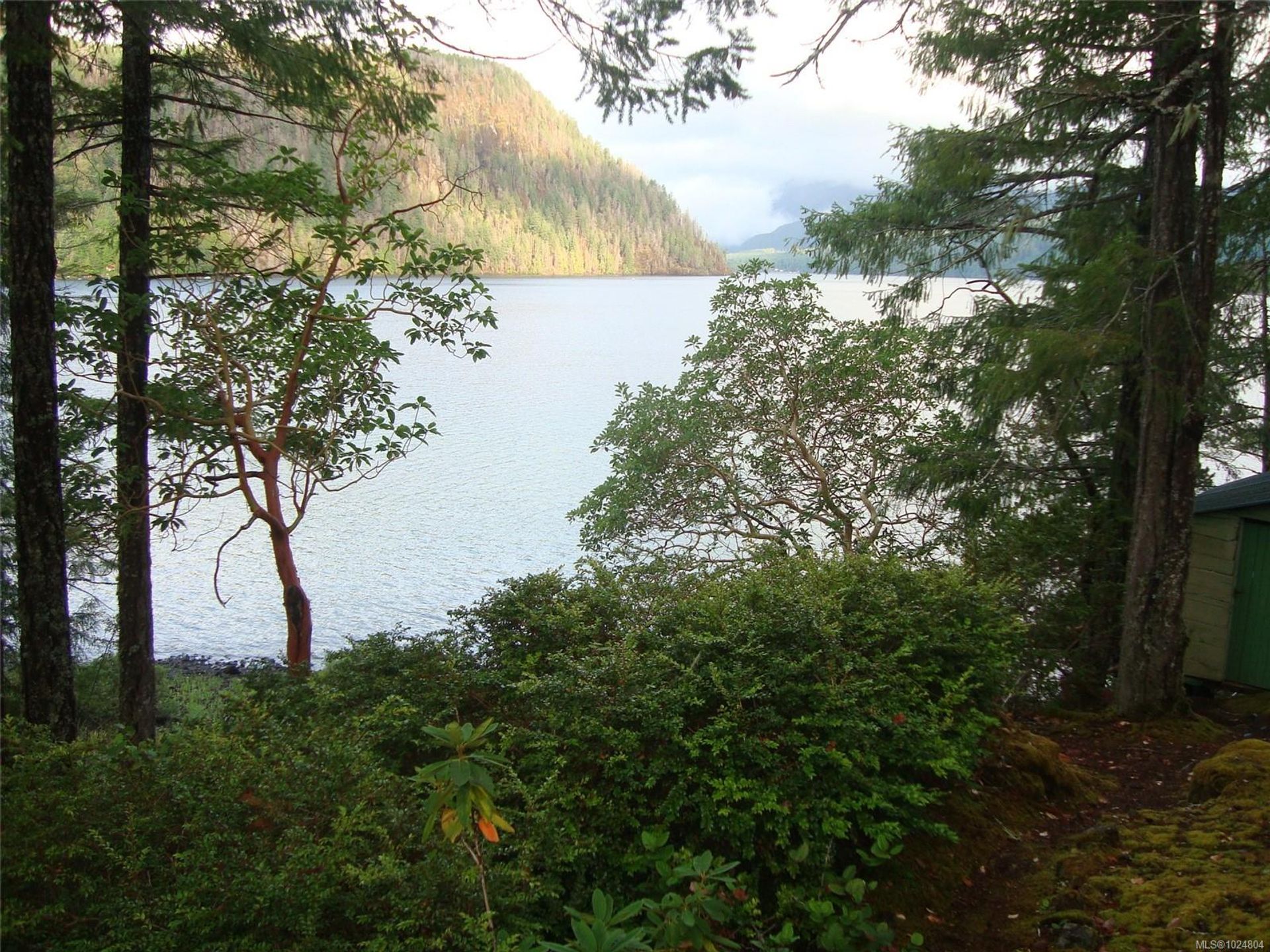 Vanderbuilt Island, Sproat Lake, Port Alberni