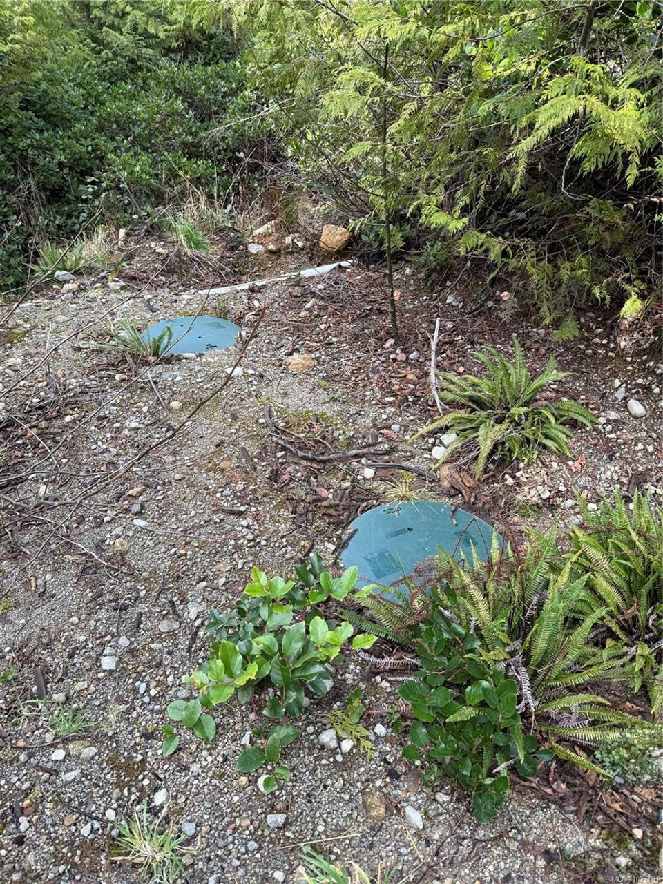 0-michigan-main-bamfield-port-alberni-05