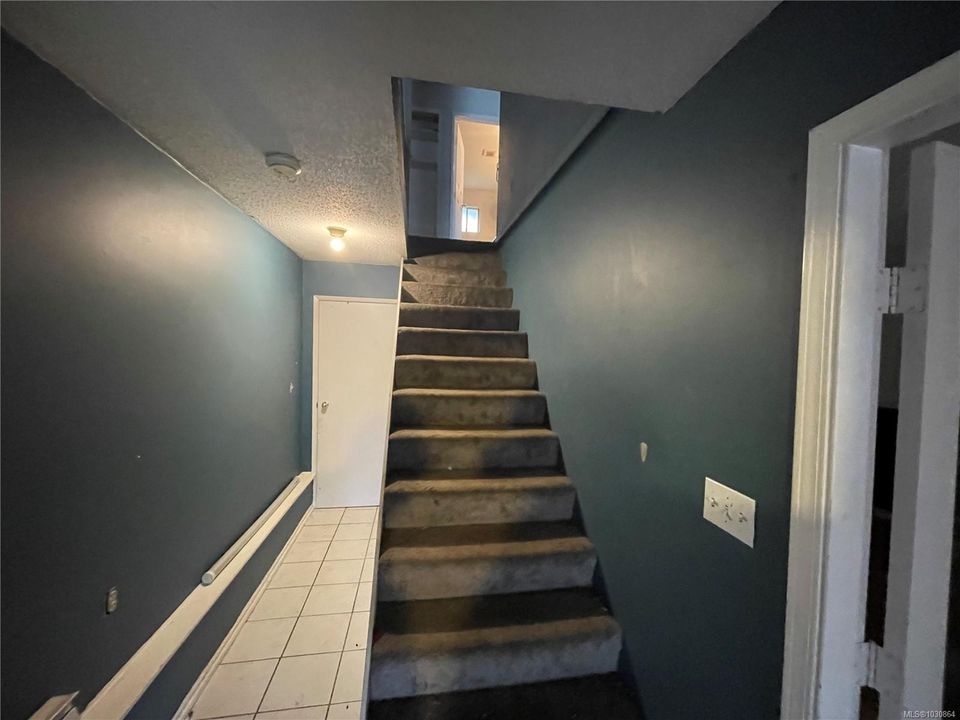 9542-scott-port-hardy-north-island-03