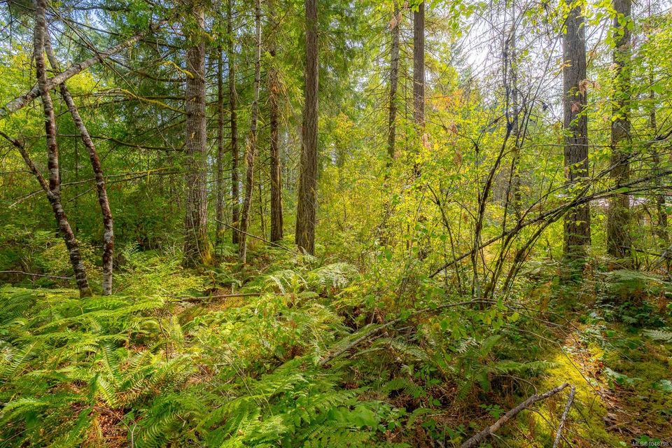 lot-b-fern-alberni-valley-port-alberni-04