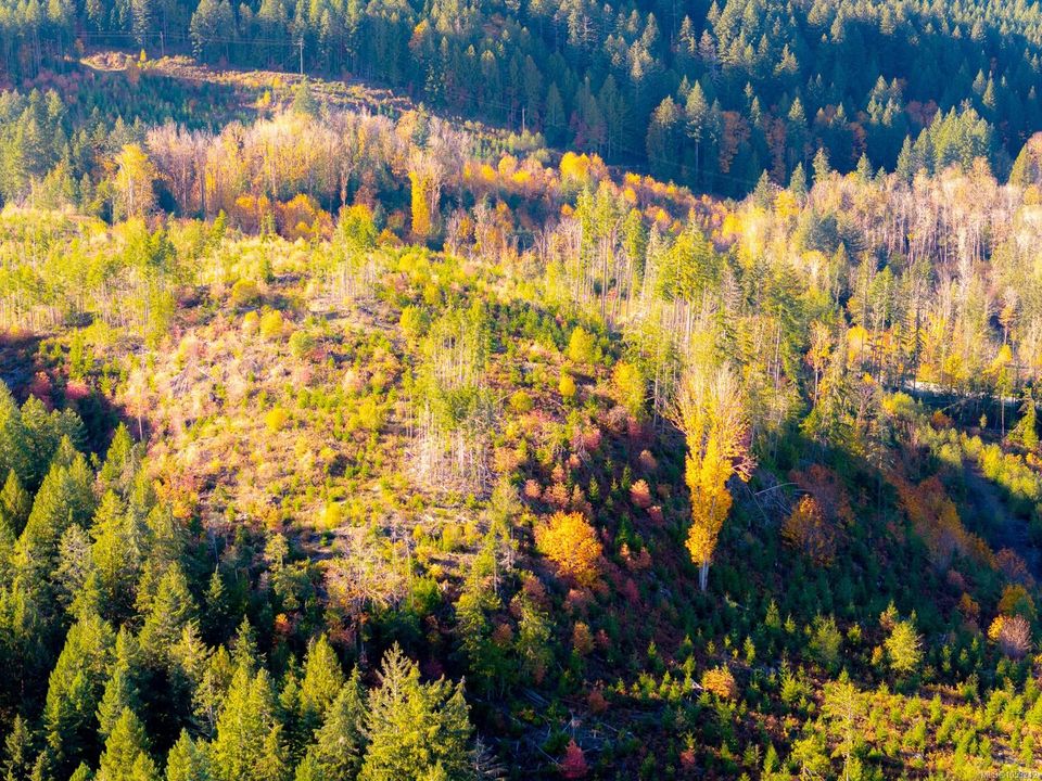 10700-tilly-sproat-lake-port-alberni-04