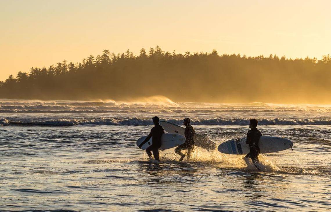 Tofino