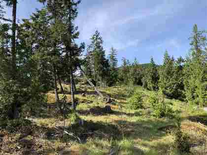 fircom-plateau-street-gambier-island-sunshine-coast-05 at Lot 16 -  Fircom Plateau Street, Gambier Island, Sunshine Coast