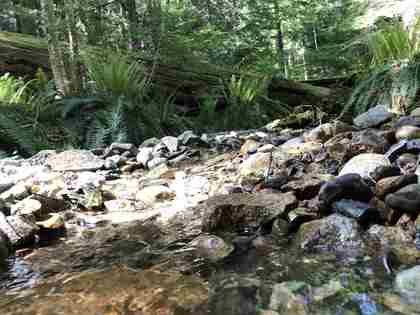 fircom-plateau-street-gambier-island-sunshine-coast-13 at Lot 16 -  Fircom Plateau Street, Gambier Island, Sunshine Coast