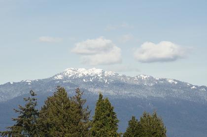 6508-denbigh-avenue-forest-glen-bs-burnaby-south-17 at 318 - 6508 Denbigh Avenue, Forest Glen BS, Burnaby South