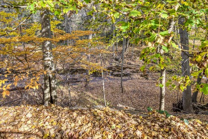 Backyard - 5041 Lakeshore Rd, Burlington - Elite3 & Team at 5041 Lakeshore Road, Appleby, Burlington Backyard - 5041 Lakeshore Rd, Burlington - Elite3 & Team at 5041 Lakeshore Road, Appleby, Burlington