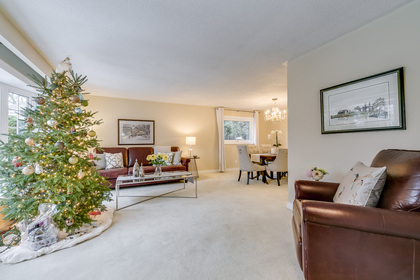 Living - 172 Arichat Rd, Oakville - Elite3 & Team at 172 Arichat Road, Eastlake, Oakville