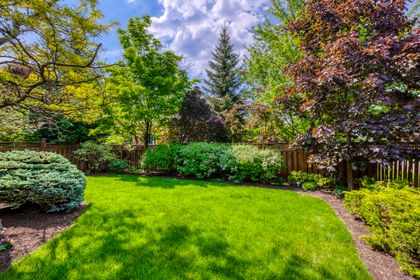 Backyard - 1154 Kestell Blvd., Oakville - Elite3 & Team at 1154 Kestell Boulevard, Iroquois Ridge North, Oakville