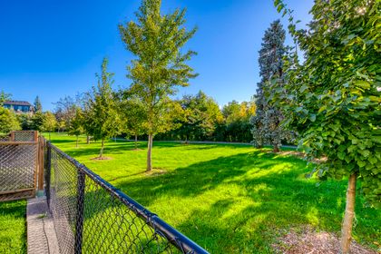 View - 22 - 840 Dundas St.W., Mississauga - Elite3 & Team at 22 - 840 W. Dundas Street, Erindale, Mississauga
