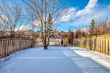 Backyard - 36 Tideland Dr., Brampton at 36 Tideland Drive, Fletcher's Meadow, Brampton