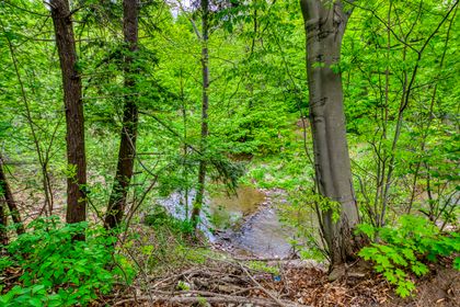 Backyard to Creek - 9416 5 Side Rd., Milton at 9416 5 Side Road, Esquesing, Milton