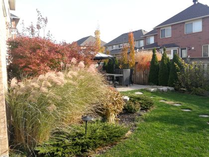 Backyard - 1368 Pine Glen Rd., Oakville at 1368 Pine Glen Road, West Oak Trails, Oakville