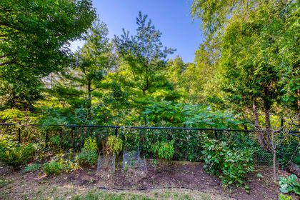 Backyard - 2296 Parkglen Ave, Oakville at 2296 Parkglen Avenue, WM Westmount, Oakville