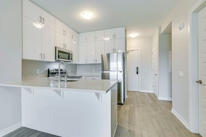 Kitchen - 319 - 460 Gordon Krantz Ave., Milton at 319 - 460 Gordon Krantz Avenue, Walker, Milton