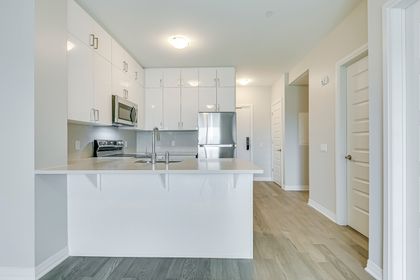 Kitchen - 319 - 460 Gordon Krantz Ave., Milton at 319 - 460 Gordon Krantz Avenue, Walker, Milton