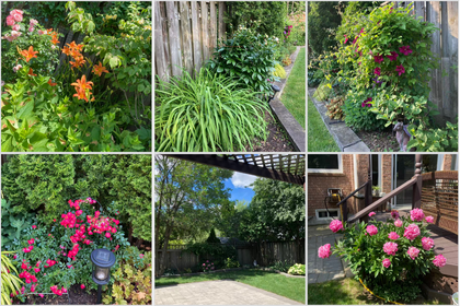 Summer Backyard - 343 Northwood Dr., Oakville at 343 Northwood Drive, 1007 - GA Glen Abbey, Oakville