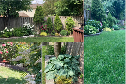 Summer Backyard - 343 Northwood Dr., Oakville at 343 Northwood Drive, 1007 - GA Glen Abbey, Oakville