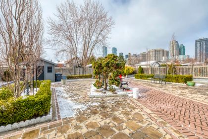 Courtyard - 3480 Joan Dr., Mississauga at 3480 Joan Drive, Fairview, Mississauga