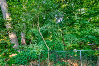 Ravine - 1005 Fair Birch Dr., Mississauga at 1005 Fair Birch Drive, Lorne Park, Mississauga
