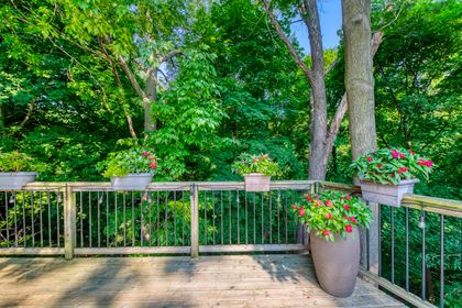 Backyard - 1005 Fair Birch Dr., Mississauga at 1005 Fair Birch Drive, Lorne Park, Mississauga