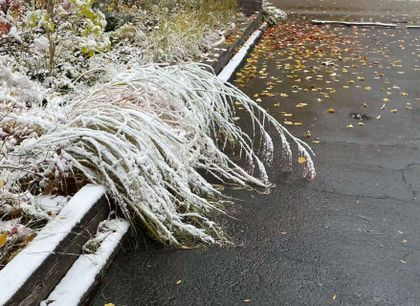 Gardens - 3537 Enniskillen Circle, Mississauga at 3537 Enniskillen Circle, Erindale, Mississauga