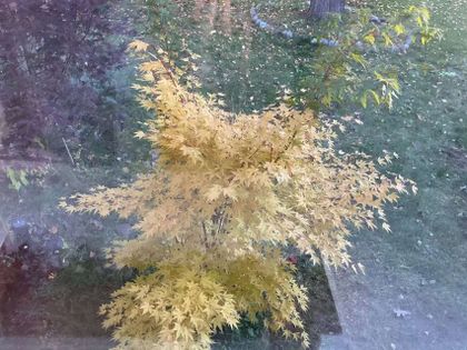 Gardens - 3537 Enniskillen Circle, Mississauga at 3537 Enniskillen Circle, Erindale, Mississauga