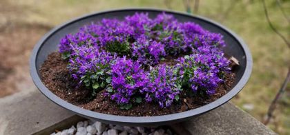 Gardens - 3537 Enniskillen Circle, Mississauga at 3537 Enniskillen Circle, Erindale, Mississauga