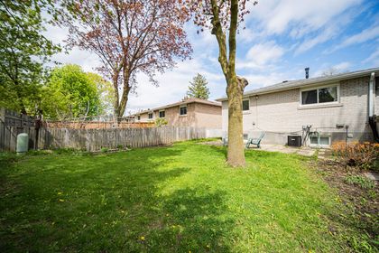 Backyard - 27 Elise Terr., North York at 27 Elise Terrace, Newtonbrook West, Toronto