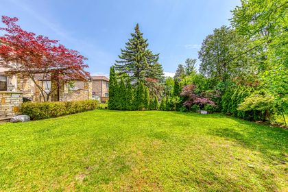 Backyard - 249 Holmes Ave., North York at 249 Holmes Avenue, Willowdale East, Toronto