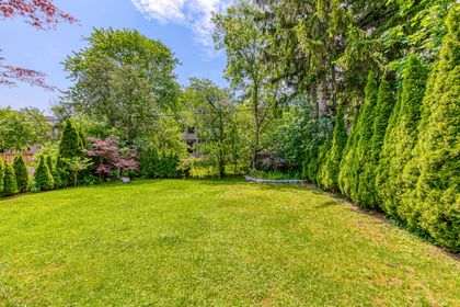 Backyard - 249 Holmes Ave., North York at 249 Holmes Avenue, Willowdale East, Toronto