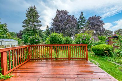 Backyard - 741 Queensbridge Dr., Mississauga at 741 Queensbridge Drive, Creditview, Mississauga