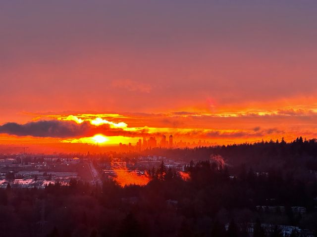 262957745-4410780e-1f04-4051-932c-eac6721793cf at 1804 - 652 Whiting Way, Coquitlam West, Coquitlam