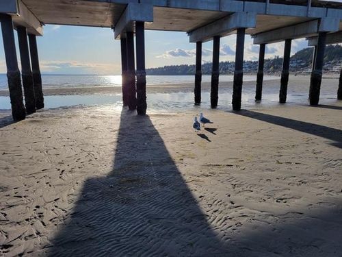 23 at 112 - 12890 17 Avenue, Crescent Bch Ocean Pk., South Surrey White Rock