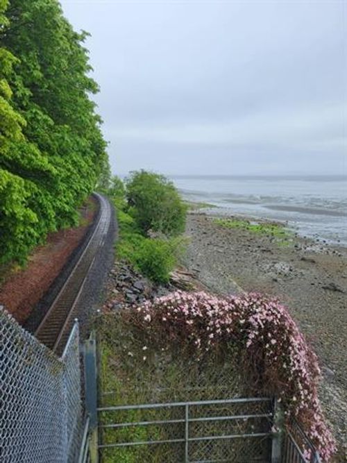 24 at 112 - 12890 17 Avenue, Crescent Bch Ocean Pk., South Surrey White Rock