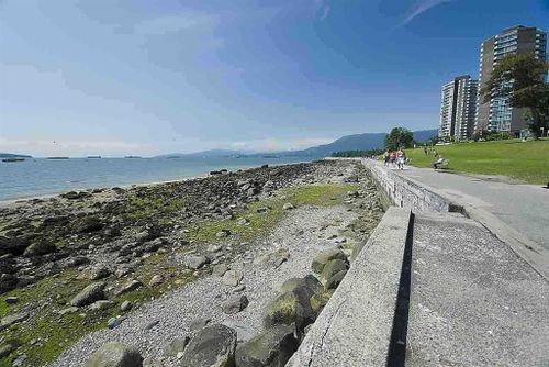 262948871-94b78e51-aa80-4981-ac04-69f149ac81d4 at 207 - 1345 Comox Street, West End VW, Vancouver West