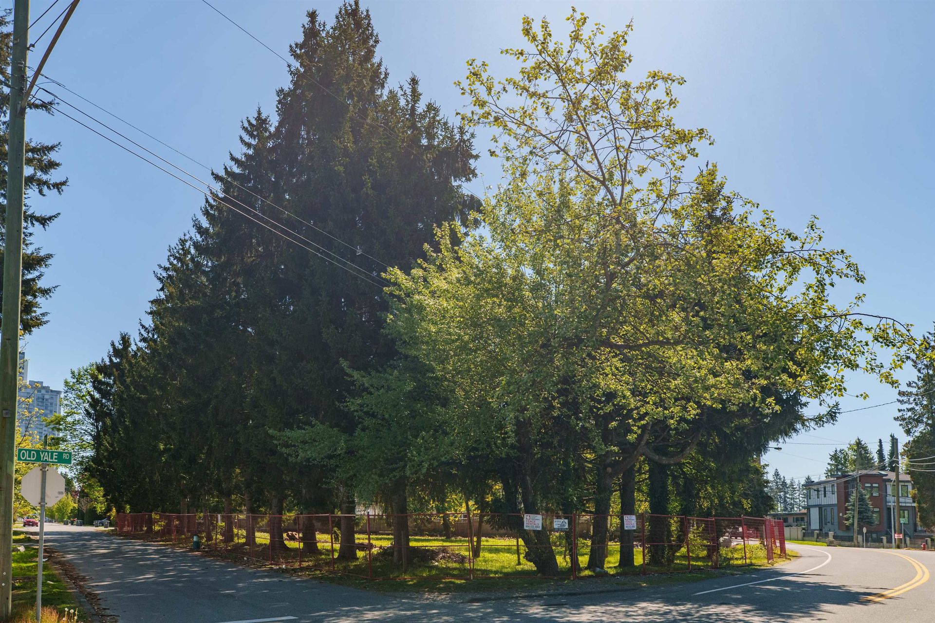 13003 Old Yale Road 