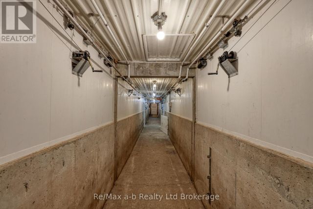 786472-township-rd-6-road-blandford-blenheim-17 at 786472 - 6 Township Rd Road, Blandford-Blenheim