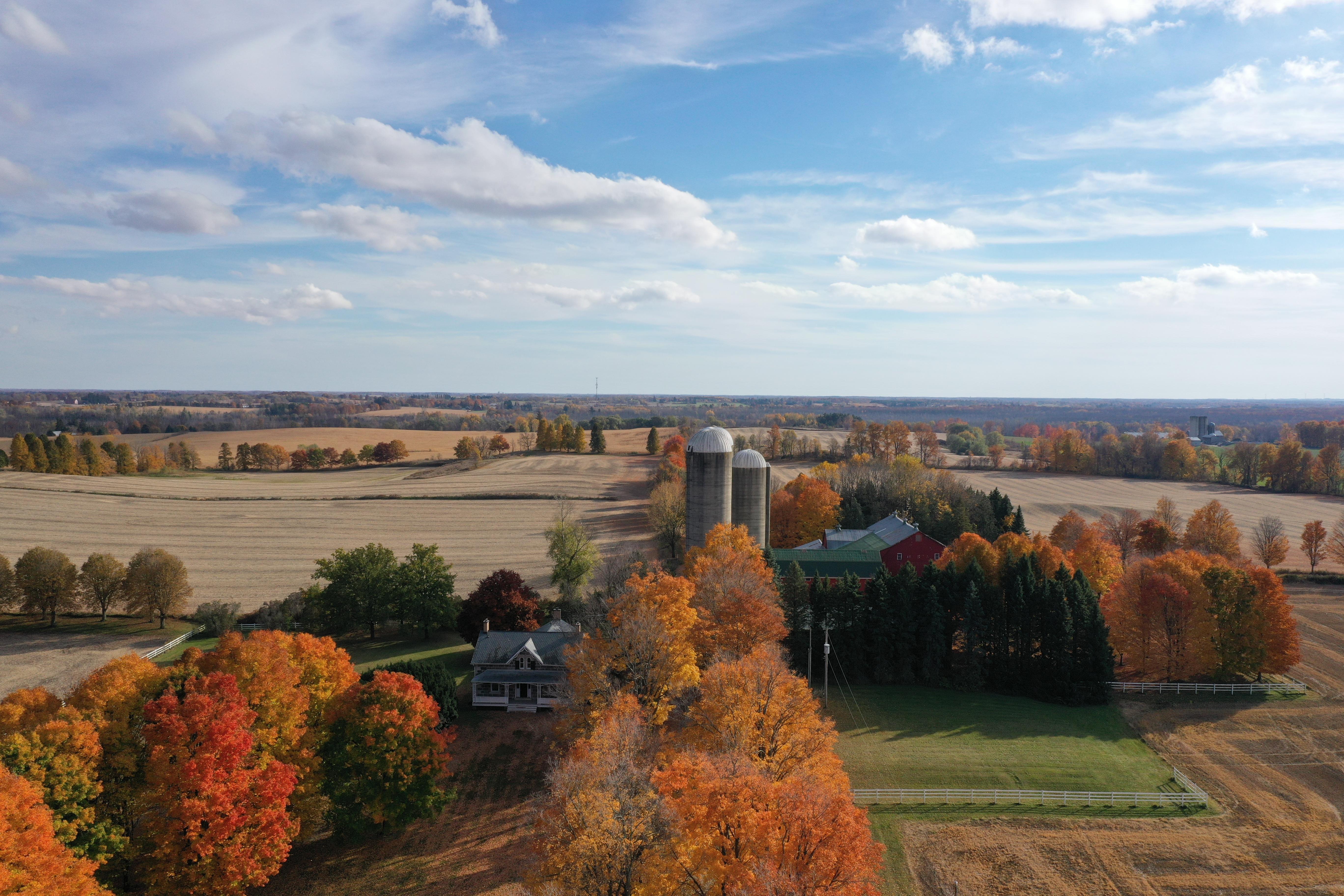 866844 Township Road 10 Bright On photo number 2