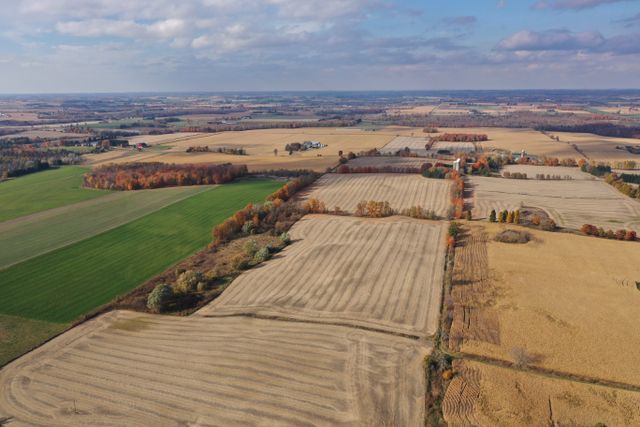 dji_0351 at 866844 Township Road 10 Bright On