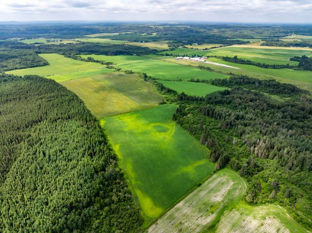 f2f-drone-45 at 407197 Road 2 Englehart On