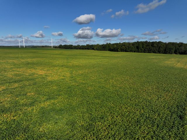 dji_20250908095132_0344_d at 465273 Curries Road, Woodstock