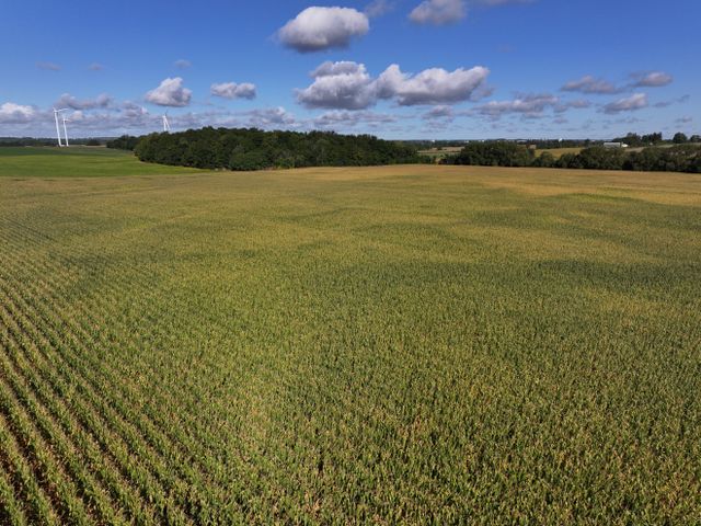 dji_20250908095223_0346_d at 465273 Curries Road, Woodstock