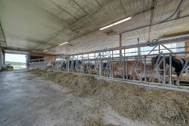 dsc09974_89 at 465273 Curries Road, Woodstock