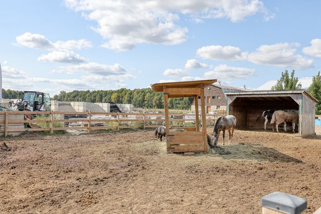 img_4356_128 at 1 Etonia Road, Brant