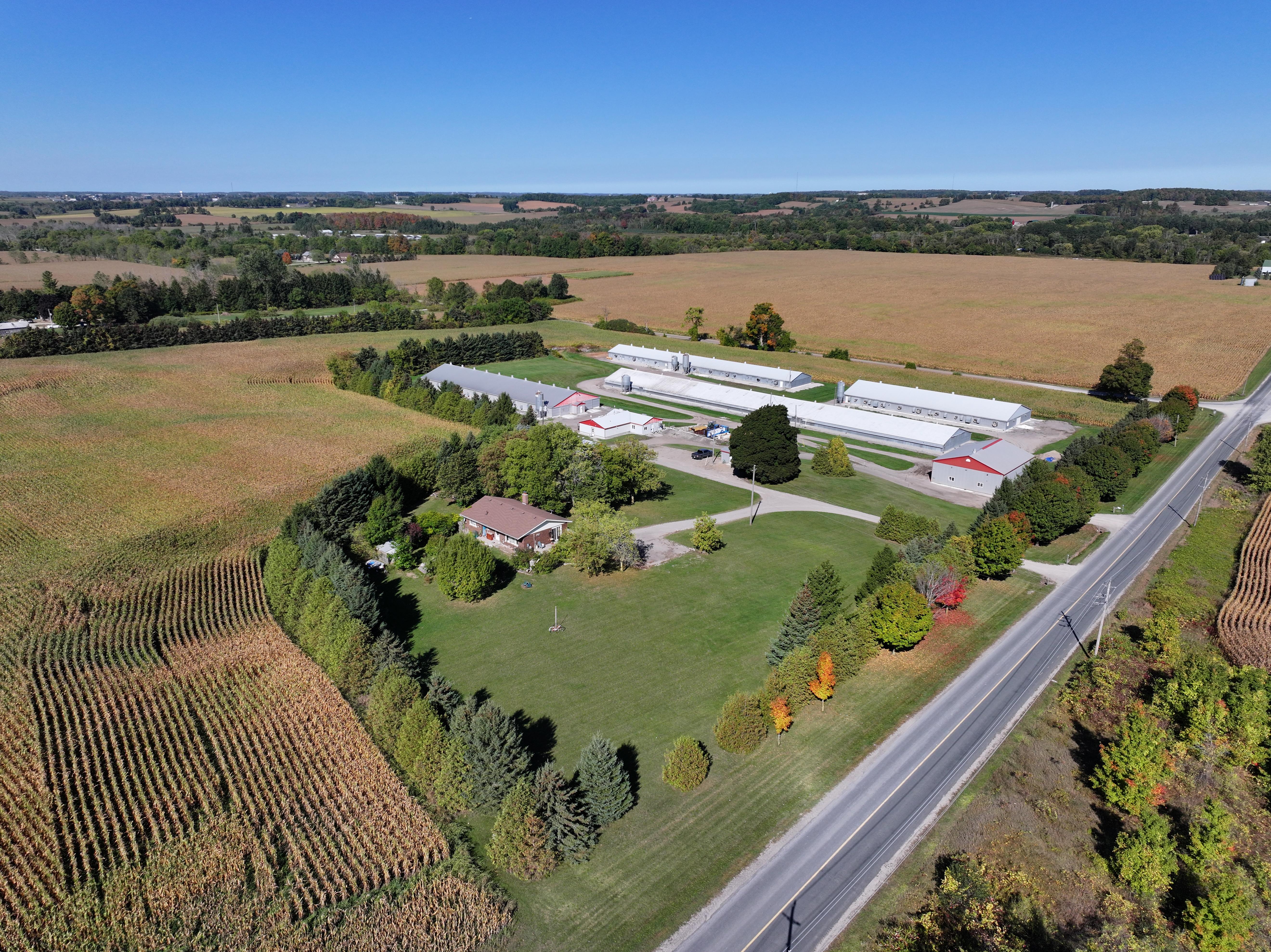 936549 Blenheim Road, Blandford-Blenheim (Bright) photo 6 936549 Blenheim Road, Blandford-Blenheim (Bright) photo 6