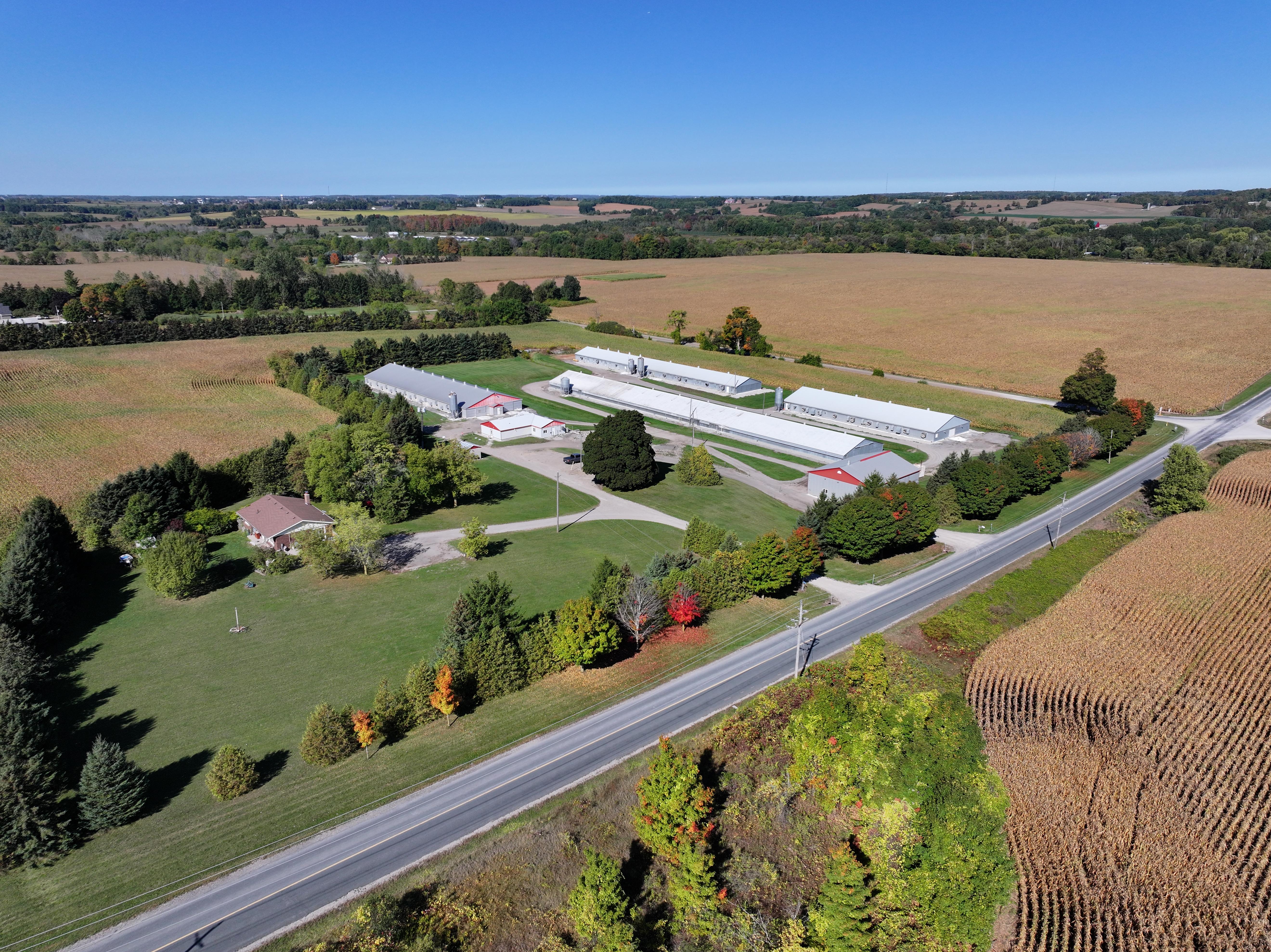 936549 Blenheim Road, Blandford-Blenheim (Bright) photo number 2