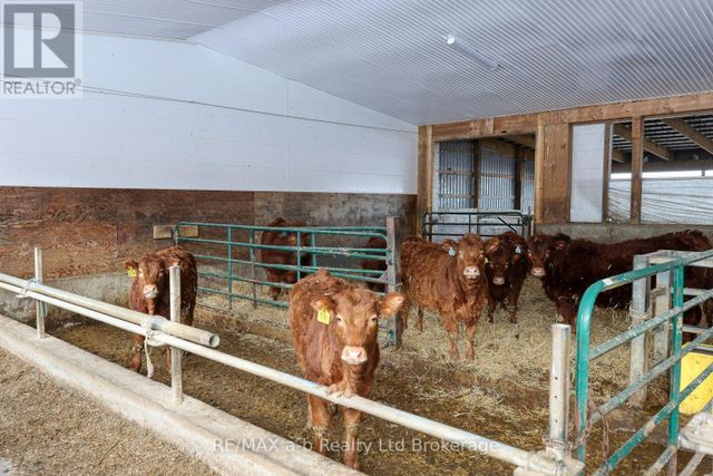 533968-cedar-line-norwich-burgessville-38 at 533968 Cedar Line, Norwich (Burgessville)