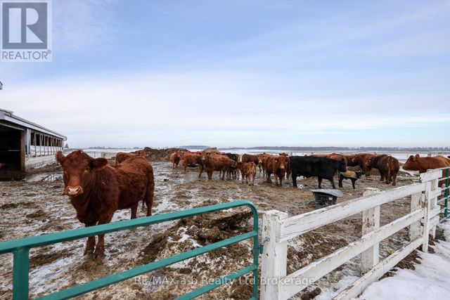 533968-cedar-line-norwich-burgessville-40 at 533968 Cedar Line, Norwich (Burgessville)