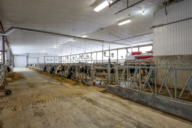 img_4646_93-1 at 1011 Bornish Drive Parkhill