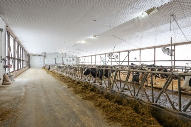 img_4658_97-4 at 1011 Bornish Drive Parkhill